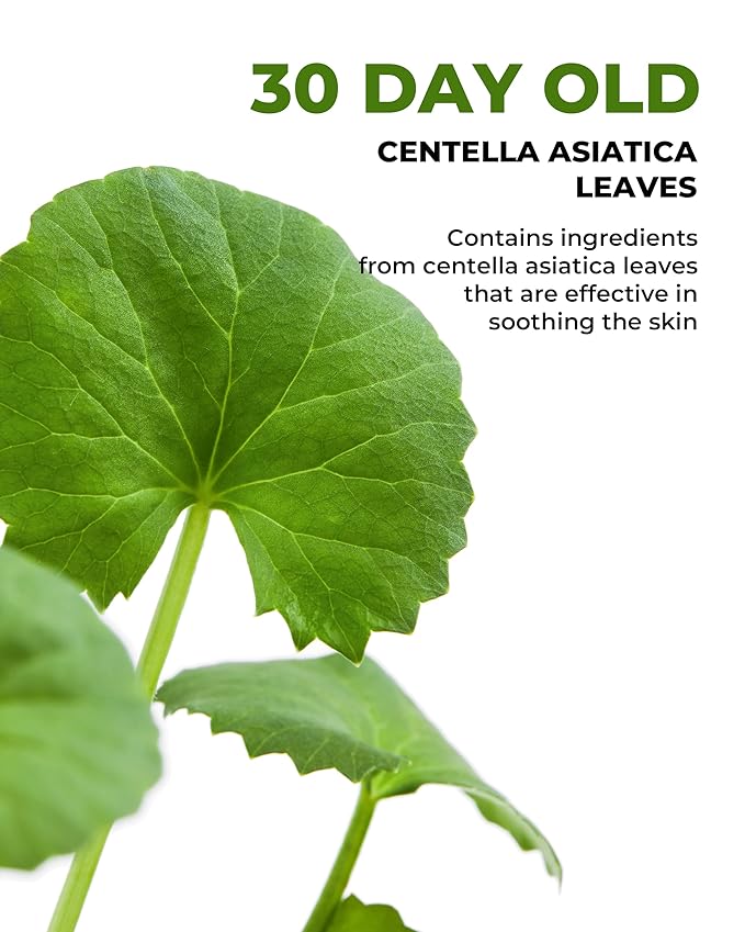 DERMAFIRM CICA AC Tone Up Cream 1.69 oz | Centella Asiatica Face Cream for Dry & Sensitive Skin | Korean Skincare Beauty Product Facial Moisturizer | K Beauty Skin Care Tone Up Cream for Women & Men