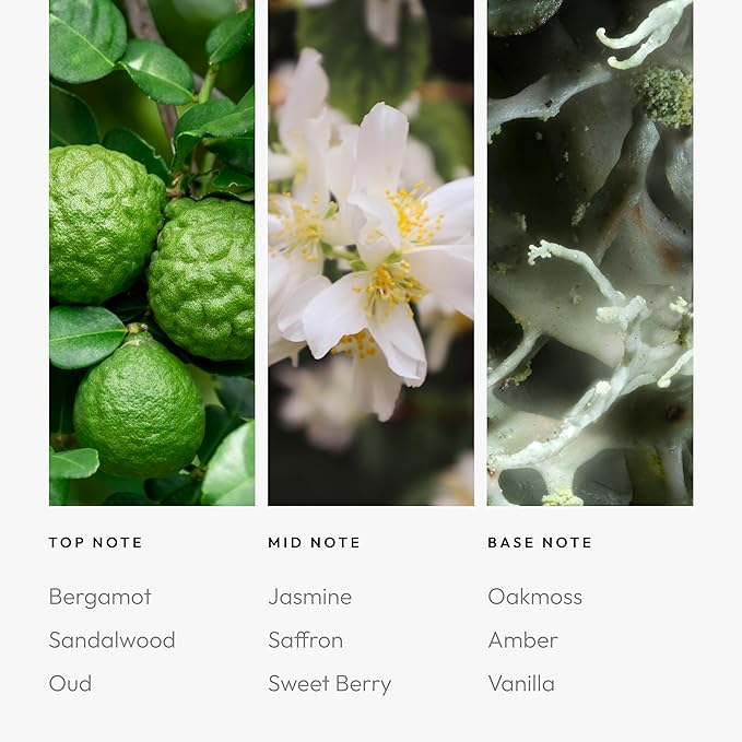 Aroma360 - Chandelier Fragrance Oil Blend | Hotel Inspired for Luxury Essential Oil Diffusers | Aromatherapy Scent Diffuser Oil | Bergamot, Woodsy Sandalwood, and Flirtatious Saffron - 500ML