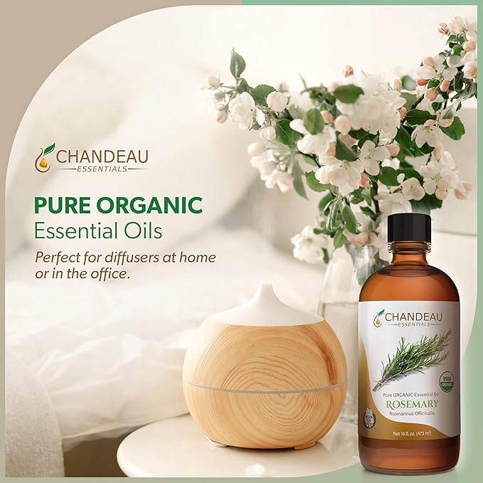 100% Pure Organic Essential Oil, Pure Rosemary Essential Oil for Aromatherapy, Soap Making, Candles, Laundry, Perfume, Cleaners or Diffusers - Large Amber Glass Bottle, 16 oz.