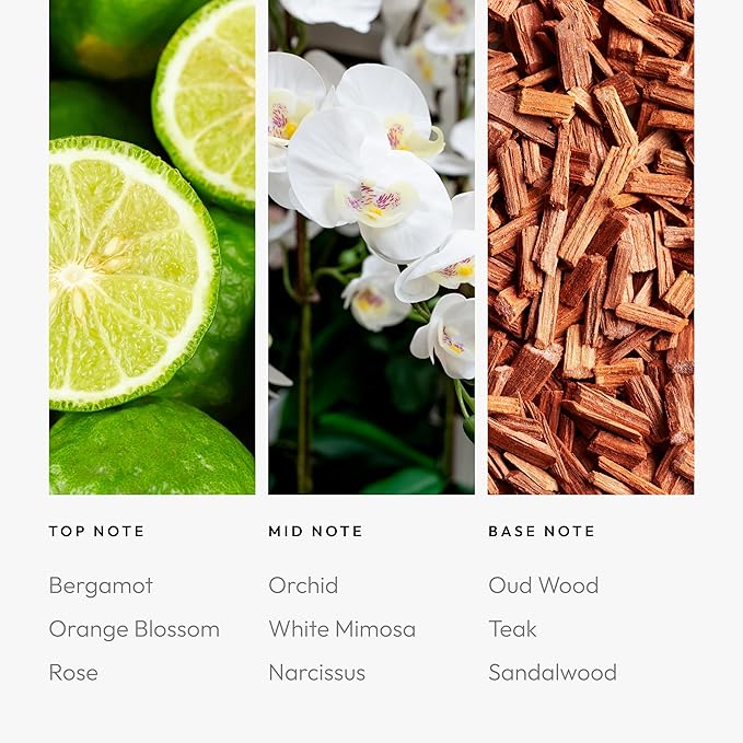 Aroma360 | Disney - A Whole New World Fragrance Oil Blend | Disney Princess Jasmine | Luxury Essential Oil Diffuser | Aromatherapy Scent Diffuser Oil | Bergamot Orange Blossom Rose 1.7 fl oz 50 mL